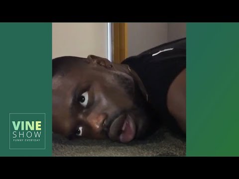 220+ Klarity Vines 2019 - Vine Back