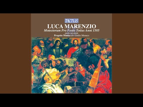 Motectorum pro festis totius anni cum Communi Sanctorum: Conceptio tua Dei genetrix