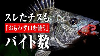 [下巴]“赤壁” softbait是trigger bite的王牌~高压下short bite捕获~/ YASUYUKI ICHIMIYA