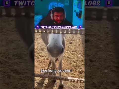 RAPAZ E NUM É QUE O BURRO GOSTOU DO LIMÃO COM SAL ! #peixe #pesca #pescaria #fishing