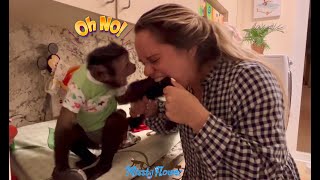 When you bite a Monkey’s Tail 🙈 Crazy Sissy dressing the Monkeys 😂❤️🐒🐒🐒