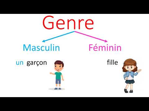 Grammaire : Le genre du nom / masculin et féminin CP / CE1