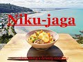 Niku Jaga Japanese Stew