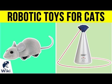 10 Best Robotic Toys For Cats 2019