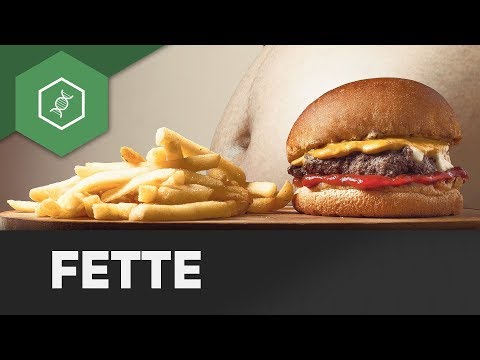 Fats - Biomolecules 3