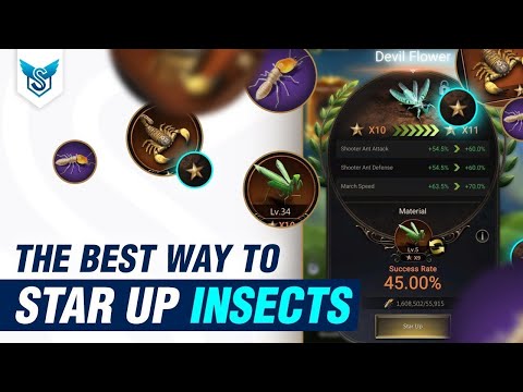 The Best way to Star Up Insects - The Ants Underground Kingdom [EN]