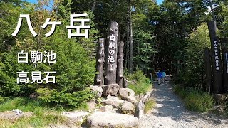 八ヶ岳／白駒池〜高見石／苔の森ハイキング