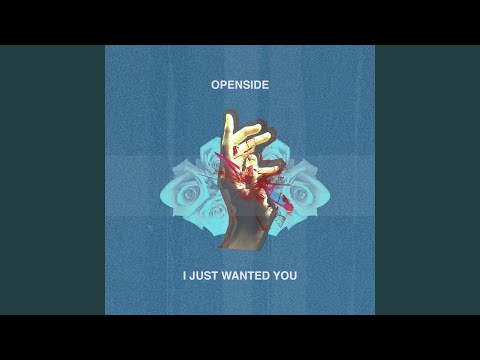 I Just Wanted You