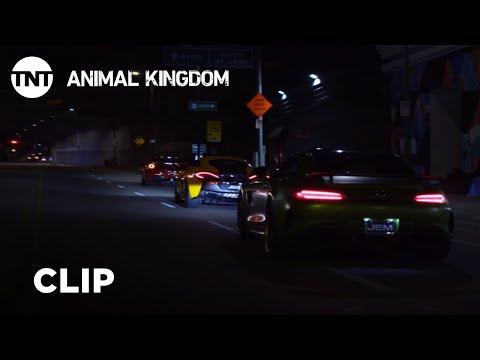 Animal Kingdom: Season Rewind - Season 3, Ep. 2 [CLIP] | TNT
