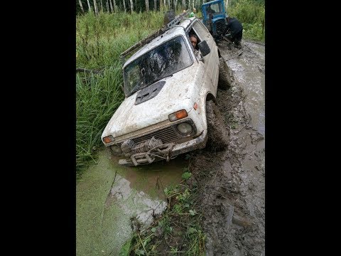 Смотреть видео Смотреть видео