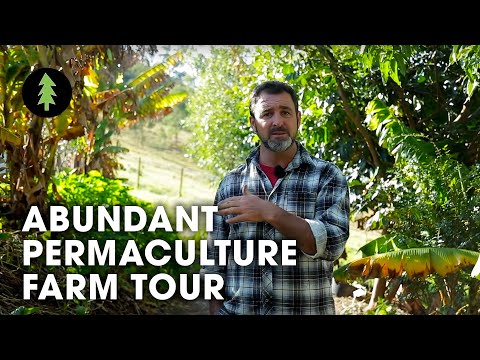 Beautiful 1-Acre Small Scale Permaculture Property | Limestone Permaculture Farm Tour