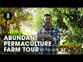 Beautiful 1 Acre Small Scale Permaculture Property Limestone Permaculture Farm Tour