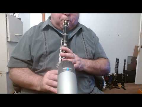 SELMER USA BUNDY INTERMEDIATE/ADVANCED WOOD Bb CLARINET - COMPLETELY REDONE - REPAD - DEMO VIDEO - READY TO PLAY! image 24