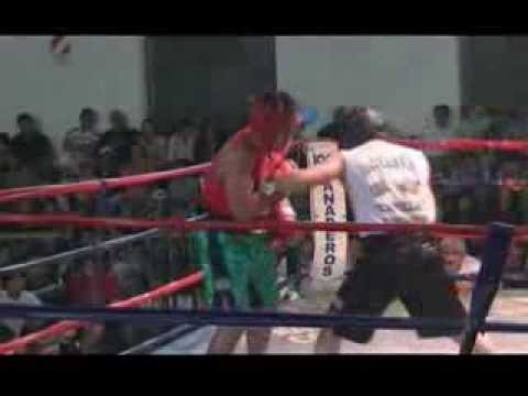 Box 8 Nov Nito Vittori