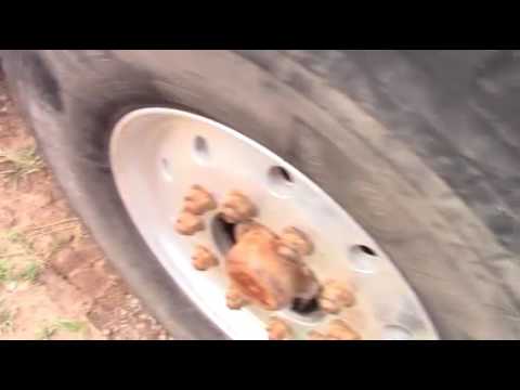 2007 WESTERN STAR 6900XD For Sale