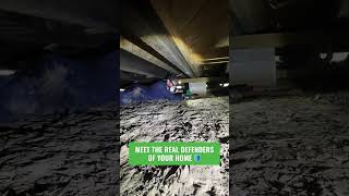 Real heroes work at Natran 💚