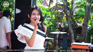 Download lagu MANJA - AULIA NIRWANA - PRINGGONDANI Mak Ketotor...!!! - DMS Digital Audio mp3 Download lagu MANJA - AULIA NIRWANA - PRINGGONDANI Mak Ketotor...!!! - DMS Digital Audio mp3