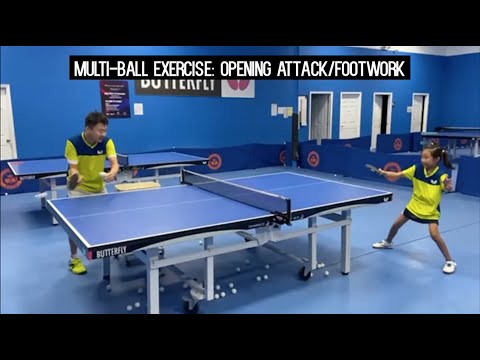Butterfly Training Tips with Wang Hui - Opening Attack & Footwork