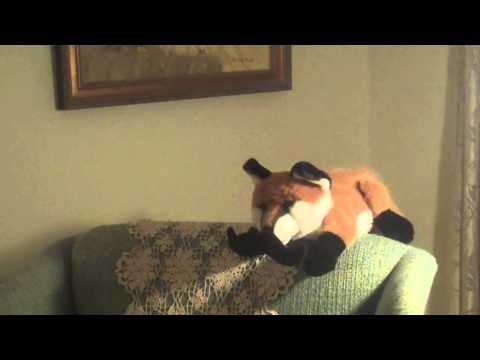 What Does The Bank Say? (Zlvis) Parody of The Fox by Ylvis