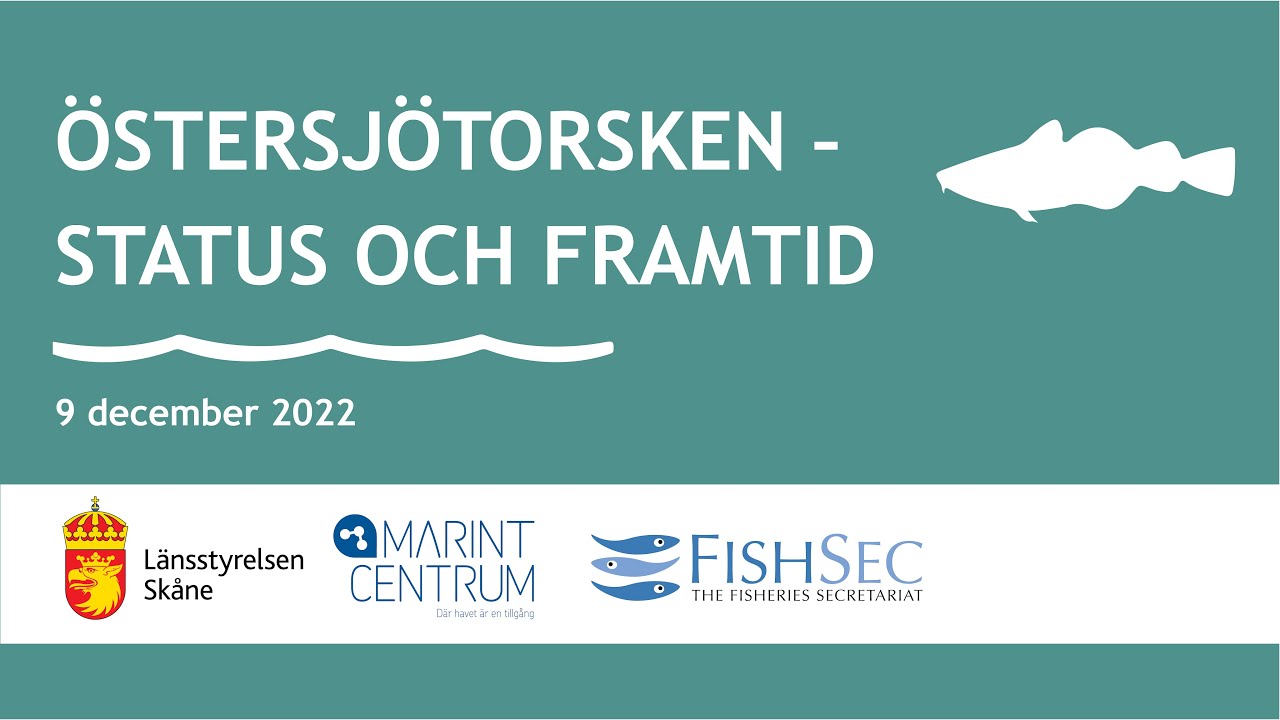 Inspelning av webbinariet "Östersjötorsken – status och framtid"