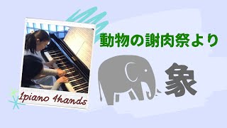 Download lagu (連弾)サン=サーンス:動物の謝肉祭より 象 Saint-Saens:Le carnaval des animaux L'éléphant mp3 Download lagu (連弾)サン=サーンス:動物の謝肉祭より 象 Saint-Saens:Le carnaval des animaux L'éléphant mp3