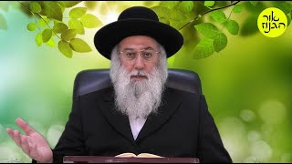 להרבות בכבוד המקום ו שיעור בליקוטי מוהר"ן ו הרב ברוך זרובבל (הרב ברוך זרובבל) - התמונה מוצגת ישירות מתוך אתר האינטרנט יוטיוב. זכויות היוצרים בתמונה שייכות ליוצרה. קישור קרדיט למקור התוכן נמצא בתוך דף הסרטון