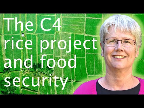 Food security & a more efficient photosynthesis - Jane Langdale