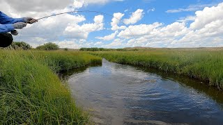 Harrower Ranch-Wyoming Spring Creek Fly Fishing