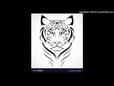 Director ft  matwansina block 5 - malosela