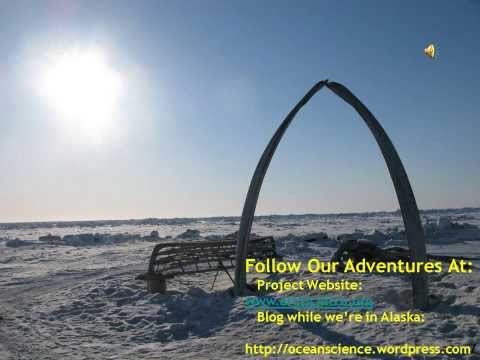 Arctic Research The Battle for Nitrogen Powerpoint