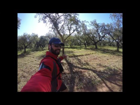 TrailRun Nora 20160409