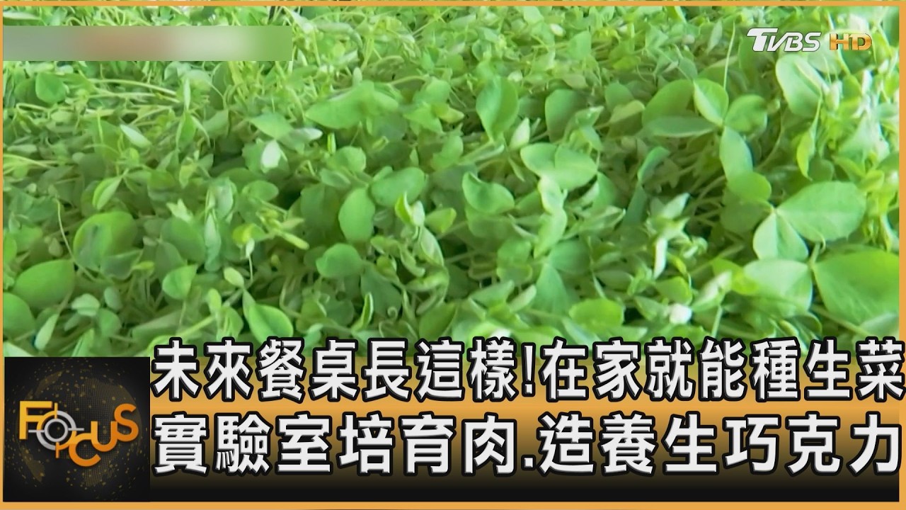 未來餐桌長這樣!在家種生菜 實驗室培育肉.造養生巧克力
