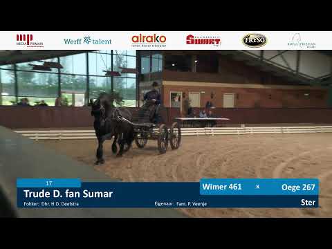 IBOP | 17 september 2024 | Wergea