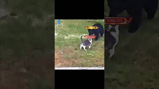 Download lagu _moneylove(720P_HD) mp3