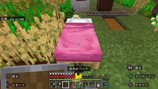 ［マイクラ］＃23 やっていく　参加は仲良い方か、X相互の方なら誰でも　コメント気軽にどうぞ～