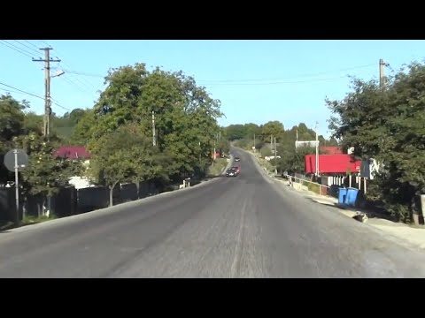 VRANCEA PITOREASCA - VIDRA iulie 2020