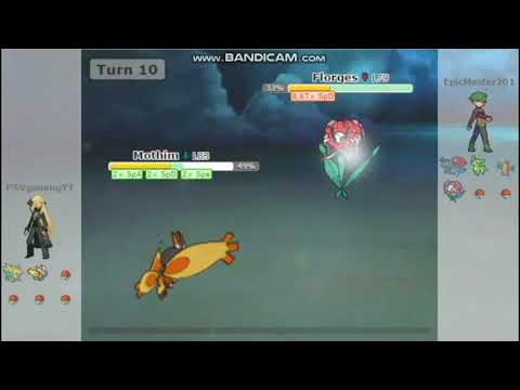 ~EPIC MOTHIM SWEEP!~ l POKEMON SHOWDOWN