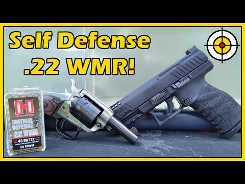 Better Than a Sharp Stick?...Hornady Critical Defense 32 ACP vs 32 H\u0026R Mag Self-Defense AMMO Test!
