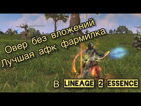 ОВЕР БЕЗ ДОНАТА в Lineage 2 Essence