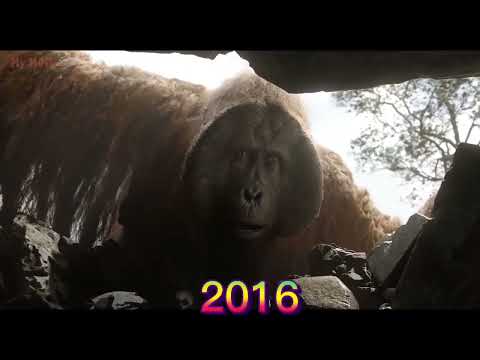 Evolution of gigantopithecus