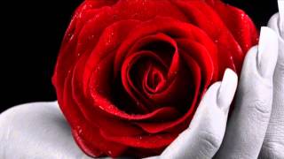 Hayley Westenra ~My heart belongs to you~