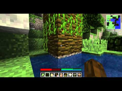 TerraFirmaCraft Let's Play- Episode 2: Searching for... Rocks?