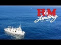 H M Landing And Premier Sportfishing 2022