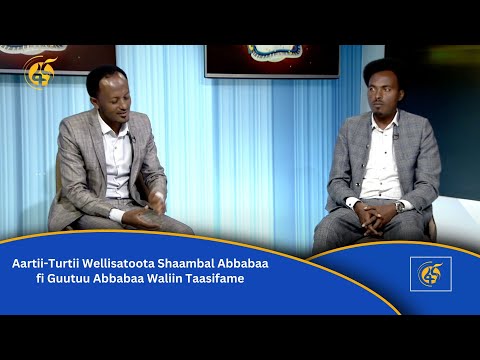 Aartii-Turtii Wellisatoota Shaambal Abbabaa fi Guutuu Abbabaa Waliin Taasifame