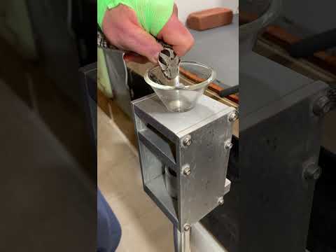 Wagner’s viper venom extraction. #endangeredspecies #herpetology #venomous #snake