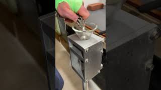 Wagner’s viper venom extraction. #endangeredspecies #herpetology #venomous #snake