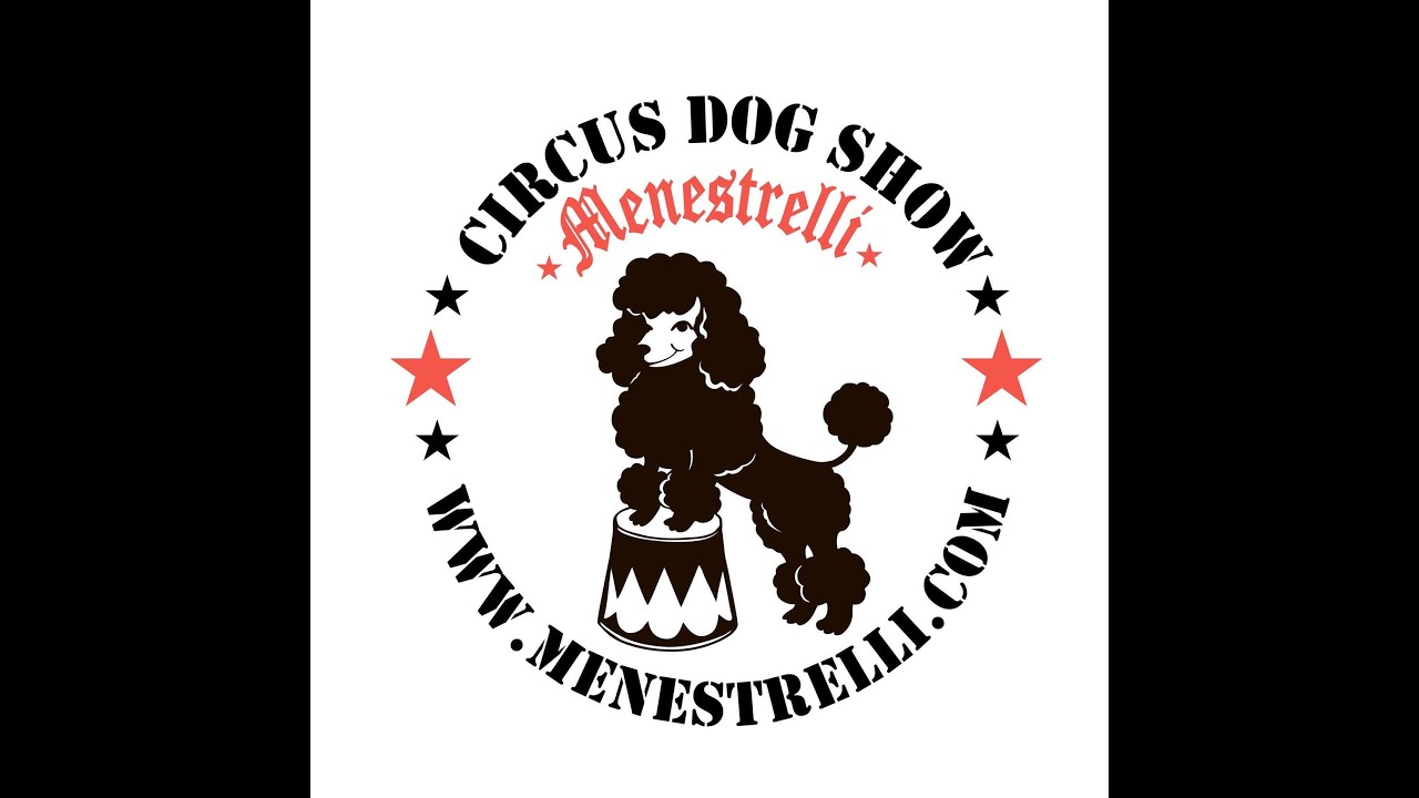 Promotional video thumbnail 1 for Circus Dog Show by Menestrelli Entertainment, LLC