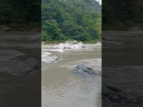 Senderos de ensueño, Río Jatun Yaku #travel #tena #napo #ecuador #makeup #film #alexarblog