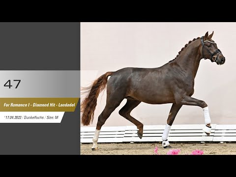 47 Hengst v For Romance I - Diamond Hit