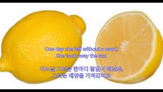 Lemon Tree - Peter, Paul &amp; Mary || with lyrics (영어가사/한글번역)